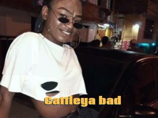 Cattleya_bad