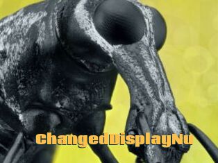ChangedDisplayNu