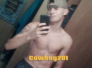 Cowboy201
