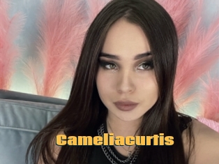 Cameliacurtis