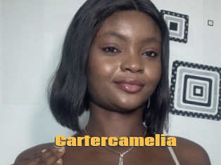 Cartercamelia