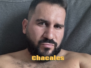 Chacales