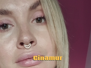 Cinamur