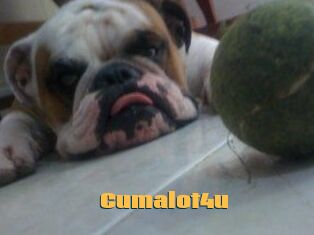 Cumalot4u