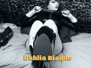 Dahlia_Blaque