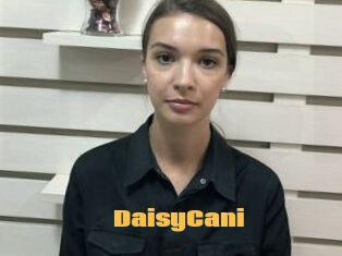DaisyCani