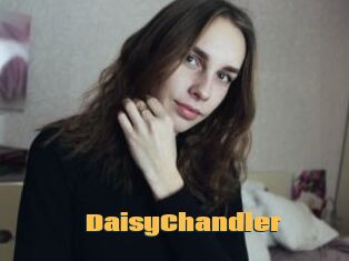 Daisy_Chandler