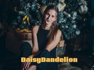 DaisyDandelion