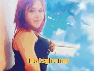 Daisy_hemp
