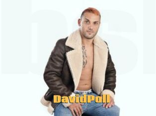 DavidPoll