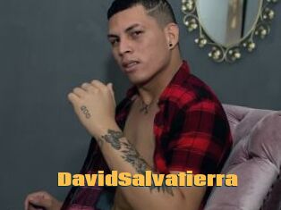 DavidSalvatierra