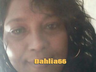 Dahlia66