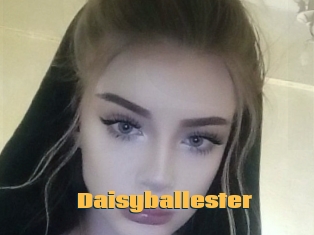 Daisyballester