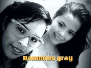 Dammins_gray