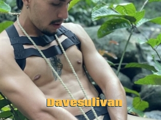 Davesulivan