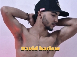David_harlow