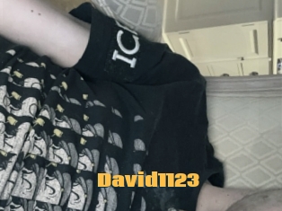 David1123