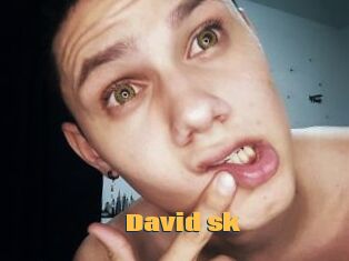 David_sk