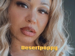Desertpoppy