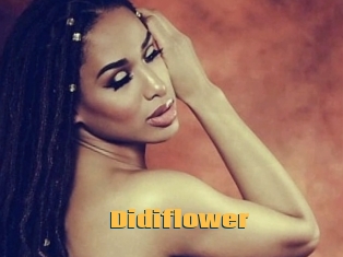 Didiflower