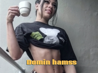 Domin_hamss