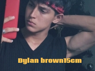 Dylan_brown15cm