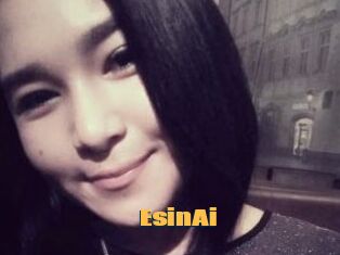 EsinAi