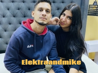 Elektraandmike