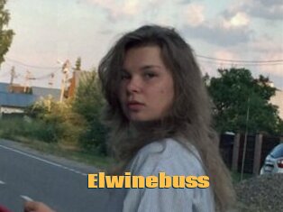 Elwinebuss
