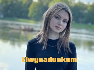 Elwynadunkum