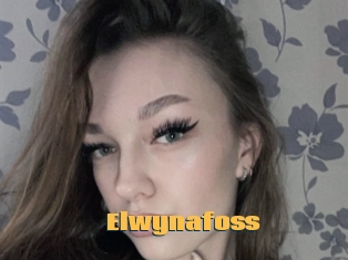 Elwynafoss