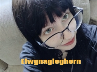 Elwynagleghorn