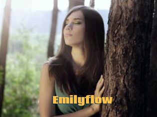 Emilyflow