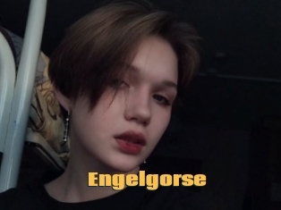 Engelgorse
