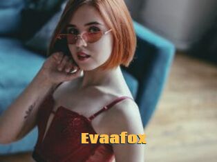 Evaafox