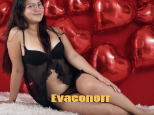 Evaconorr