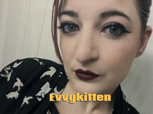 Evvykitten