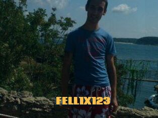 FELL1X123
