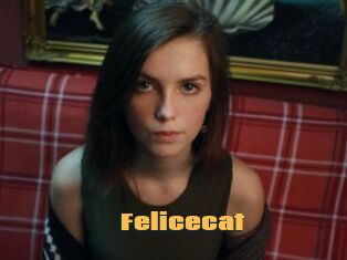 Felicecat