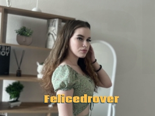 Felicedrover