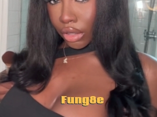 Fung8e