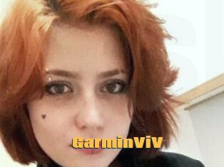 GarminViV