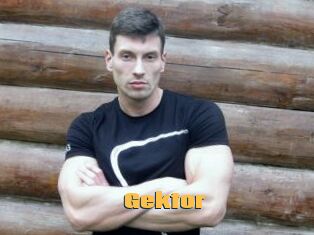 Gektor