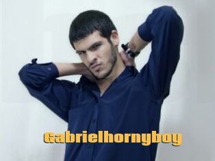 Gabrielhornyboy