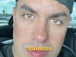 Gatoccc