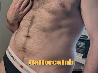 Gattorcatnb
