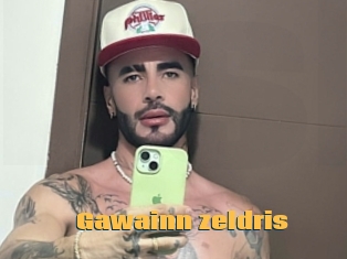 Gawainn_zeldris