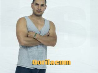 Gorilacum