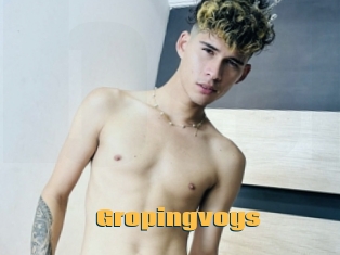 Gropingvoys