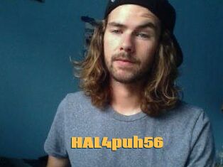HAL4puh56